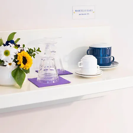 فندق مبيت وإفطار That's 4*